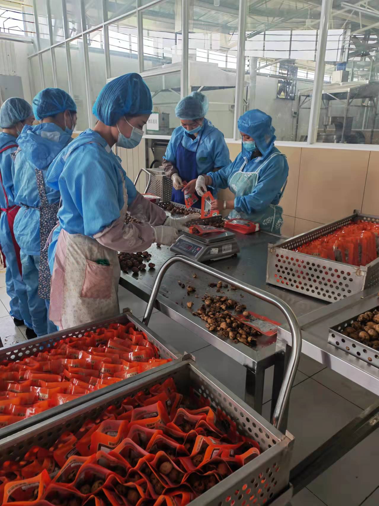 鹵制線客戶使用現(xiàn)場